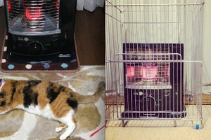 主人怕貓咪會「在家冷死」打開暖爐就直接出門！沒想到回來後，家裡貓咪竟然....太可怕了！ 