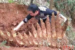 盤點近百年來農民伯伯從地里挖出的「怪東西 」。。。最後一個也太值錢了吧！ 