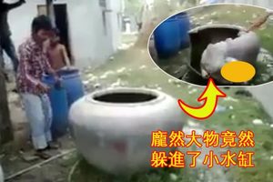 現代司馬光傳奇：水缸突然傳來詭異怪聲…村民敲破一看，嚇得大叫馬上跳開，小小水缸裡竟藏有如此龐大巨物！