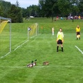 【嗶！嗶！嗶！犯規！】鴨子一家人闖入足球賽　被裁判舉紅牌趕出場！
