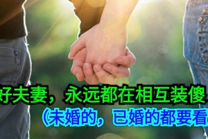 好夫妻，永遠都在相互裝傻 ！（未婚的，已婚的都要看）