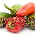 「青椒」是癌細胞最害怕的食物！加「這東西」一起吃，皮膚年輕二十歲！