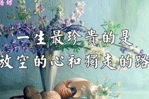 【心靈語坊】一生最珍貴的是，放空的心和獨走的路 