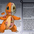超逼真《Pokémon解剖圖鑑》，深入解析寶可夢的身體構造！