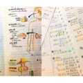 94狂！模範生分享全彩版，抄不來的「神之筆記」！手繪DNA螺旋太美了！