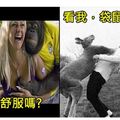 牠們根本不把人類「放在眼裡啊」！７張超狂動物照，拜託不要「放棄治療」好嘛！？＃３不要以為是動物，就可以毛手毛腳啊！！