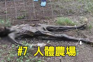20個千萬不能再google亂搜的關鍵字 不然你肯定會後悔！
