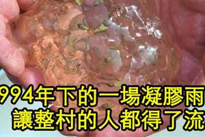 16個會讓你發現到地球有多瘋狂的「真實驚奇事件」。