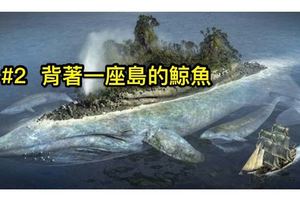 5隻據說「只有死前才有機會看到」的古代傳說神獸，#4 原來全亞洲只有「牠」一隻！