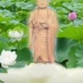 隨意供奉神明有禁忌，不好會壞你運勢倒大黴！