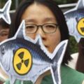 WTO終判日本敗訴 南韓將續禁福島8縣水產品 