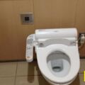 三國廁所對比，日本溫馨，印度奇葩，泰國2個字來形容