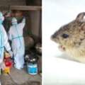 又傳疫情？中國爆「人畜共通鼠疫」預警已三級　WHO發布認證：中國特有病毒
