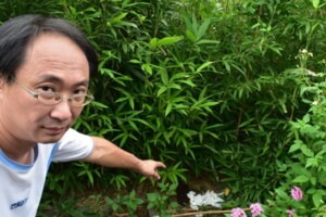 噁！韓國瑜台中造勢後 遺址公園清垃扱、驚見…
