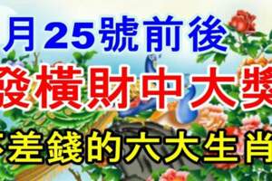 9月25號前後發橫財中大獎，金庫爆滿不差錢的六大生肖