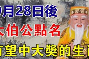 9月28日後大伯公點名，有望發橫財的生肖