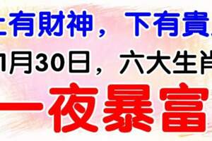 上有財神，下有貴人，11月30日馬上要一夜暴富的生肖