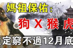 媽祖保佑（狗、X、猴、虎）註定窮不過12月底