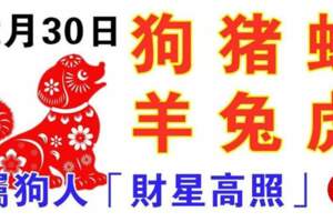 12月30日生肖運勢_狗、豬、蛇大吉