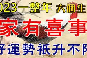 2023年遇見好機遇，1月份旺到不行的生肖