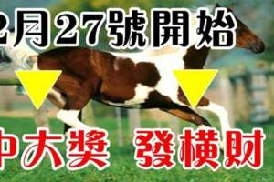 2月27號開始運勢惹不起，財源廣進的生肖