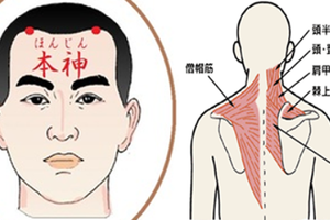  按揉「頭部六秘穴」只要一根手指打通經絡，頭痛、浮腫、「頸肩僵硬」自救不求人！