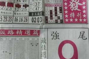 12/29  馬上發特刊-六合彩參考.