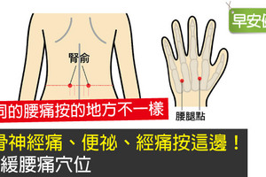 (轉)坐骨神經痛、便祕、經痛按這邊！7個緩腰痛穴位