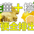 醫生不告訴你的祕密：「檸檬+生薑」超強排毒，刺激消化道，幫助排出宿便利器！ 