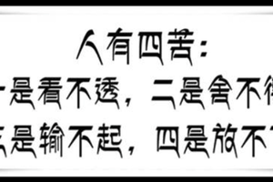 人生有四苦：一是看不透、二是捨不得、三是輸不起、四是放不下。