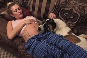 她懷孕20週時發現愛犬行為異常好像在哭，去了醫院檢查醫生竟對她說「差點一屍兩命啊」！ 
