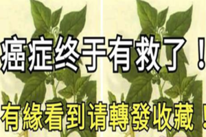 癌症有救了！很多癌癥都怕這一味藥！「有緣看到請轉發收藏，功德無量！」 