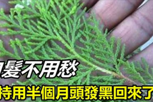 白髮不用愁，堅持用半個月頭發黑就回來了！ 