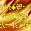 12生肖睡覺也旺財 枕頭套裡再放一物更旺財！！！看完趕快去旺財。