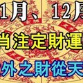 很重要，快看，11.12月會有三大生肖注定財運爆，意外之財從天而降，快接起！