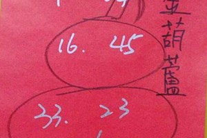 7/4 六合 【金葫蘆，韓信爺】參考。