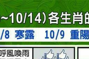 情況很緊急~10/8~10/14 各生肖整體運勢