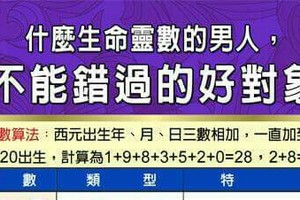 什麼生命靈數的男人，是不能錯過的好對象？