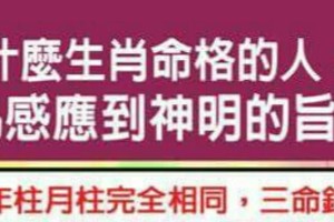 什麼生肖命格的人，容易感應到神明的旨意？