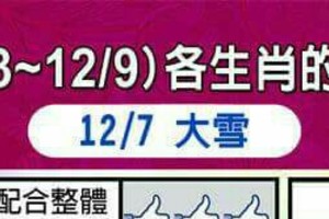 情況緊急~【12/3~12/9 各生肖的整體運勢】看看你旺不旺？