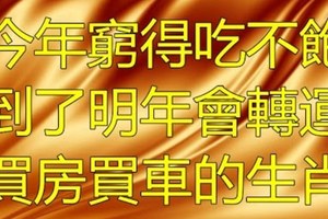 今年窮得吃不飽，到了明年會轉運買房買車的生肖