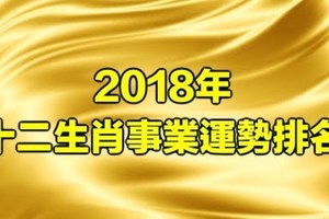 快看。。2018年12生肖事業運勢排名，第一名竟然.........