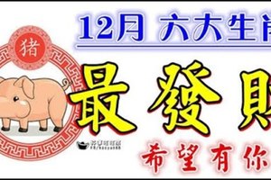 12月【最發財】的是這六個生肖，希望有你？？