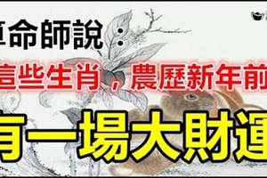 算命師說：這些生肖農曆年前有一場大財運。抓住旺30年。。。。