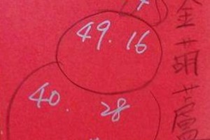 12/19 港六合 【金葫蘆，韓信爺，三星版，台仙，港式】多張財報讓你參考，參考。