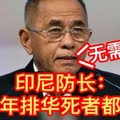 印尼国防部长语出惊人 1965年排华死者们都该死 无需道歉