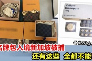 美女入境新加坡带名牌包而被捕，面临20倍罚款和监禁！大家记住，这些统统不能带