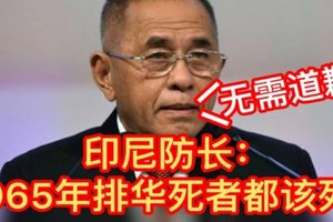 印尼国防部长语出惊人 1965年排华死者们都该死 无需道歉