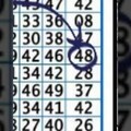 12/6六合彩特別號專車版路