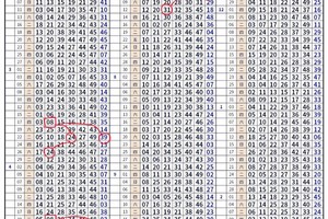 2/28六合彩續用20命中的版錄~是否再來一次呢?